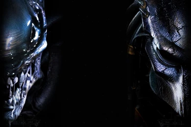 Cool Wallpaper, Aliens Vs Predator Requiem