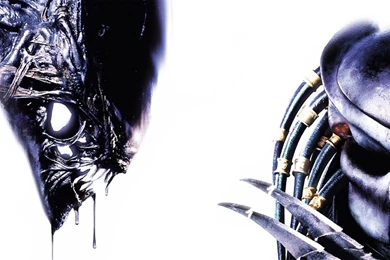 Alien Vs Predator Wallpapers 07 Photos Of Alien Vs Predator ...