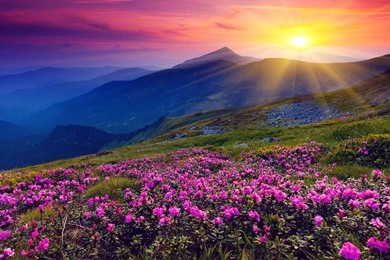 Tropical Beach 4k Ultra Hd Wallpapers 4k Wallpapernet