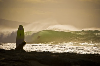 Surfing Fresh New Hd Wallpapers [Your Popular HD Wallpaper]