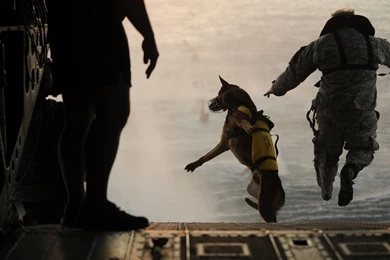 Gallery For Army Special Forces Wallpapers