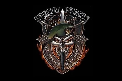 U.S. Army Rangers Logo