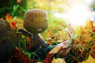 Sackboy's Autumn By MarcShort On DeviantArt