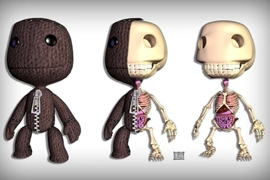 Sackboy Anatomy Wallpapers By Freeny On DeviantArt