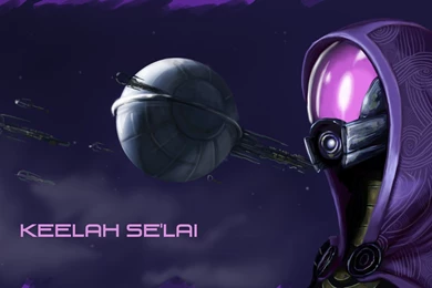 Tali Wall Paper....and Such