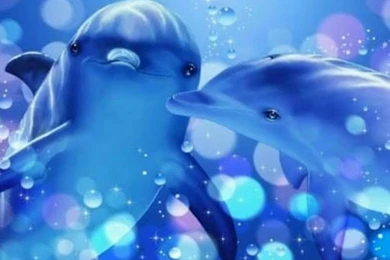 Gallery For   Computer Dolphin Wallpapers