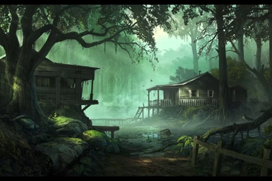 Gallery For   Beautiful Swamp Backgrounds