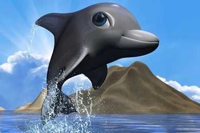 Dolphin Desktop Wallpapers