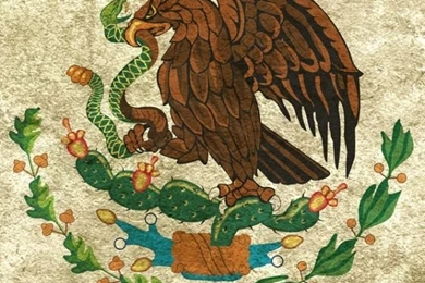 Mexico Flag iPhone 5 Wallpapers