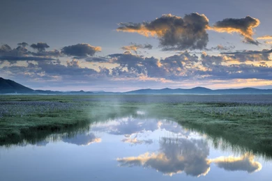 Misty Swamp Wallpapers   Free Wide HD Wallpapers