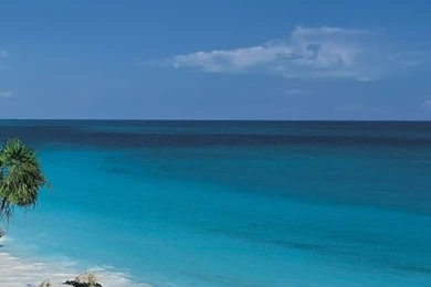 iPhone 5s Wallpapers