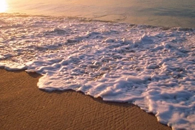 Download Wallpapers 750x1334 Mexico City, California, Beach, Wave ...