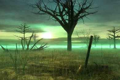 My Free Wallpapers   Fantasy Wallpapers : Sick Swamp