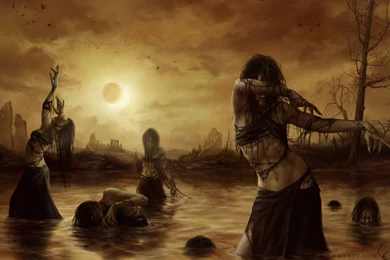 Louisiana Swamp Wallpapers