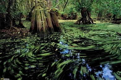 High Wallpaper 1600x1200 046.jpg