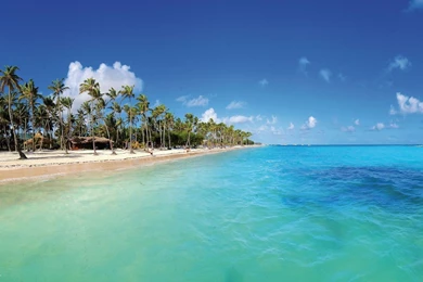 1920x1080 Punta Cana Beach Wallpapers