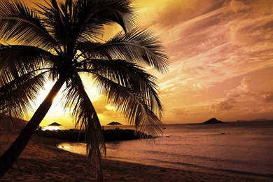 Tropical Beach Sunset Wallpapers HD 1920x1080