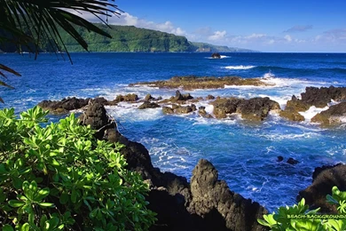 Hawaii Beach Wallpapers 29965