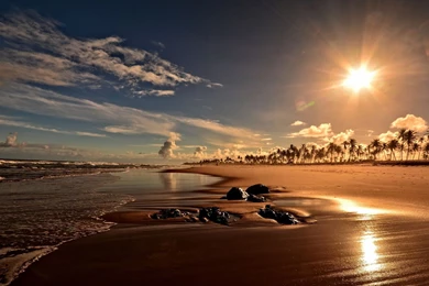 Sun Rising Above The Palm Tree Beach Wallpapers   Beach Wallpapers ...