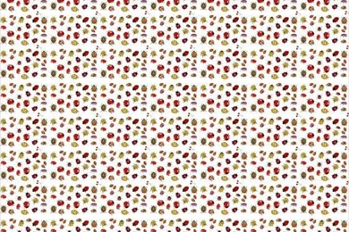 Ladybug Wallpapers Free Stock Photo   Public Domain Pictures