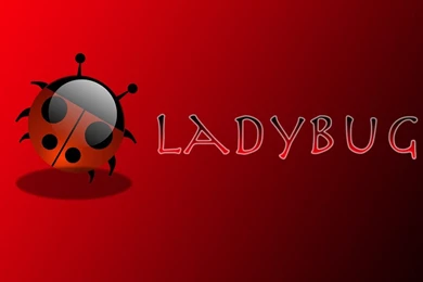 Ladybug Wallpapers By AdorableKitty08 On DeviantArt
