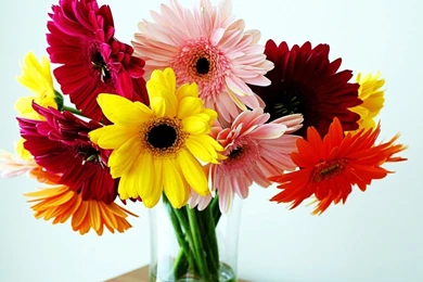 Vase, Bouquet, Chrysanthemum Wallpapers