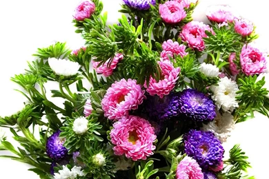 Download Wallpapers 1920x1080 Chrysanthemum, Bouquet, Bright ...