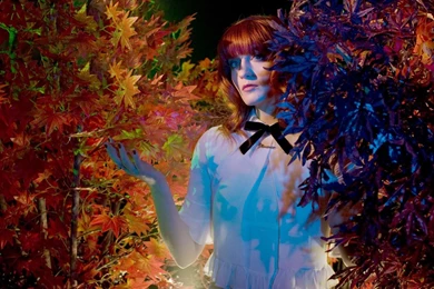 Gallery For   Florence And The Machine Iphone Wallpapers