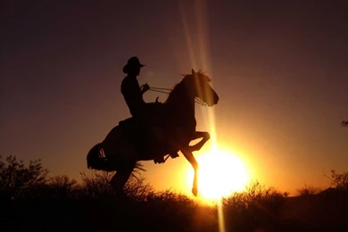 Free Cowboy Wallpapers