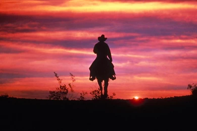 Free Cowboys Wallpapers