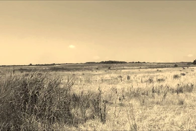 Green Screen Backgrounds Cowboy Vintage Field   YouTube