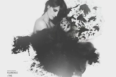 Florence And The Machine Wallpapers HD Download