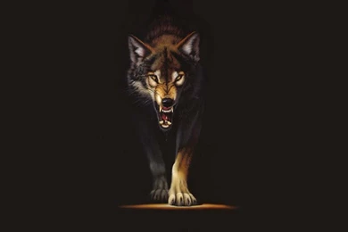 Wolf Wallpapers For Desktop
