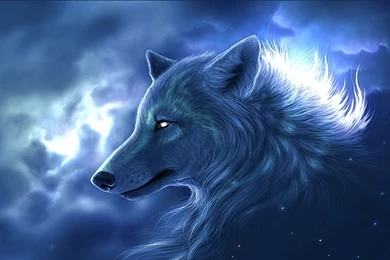 Wolf download.jpg