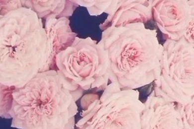 Iphone Wallpapers 2 Lock Screens Backgrounds Art Illustration Cell ...