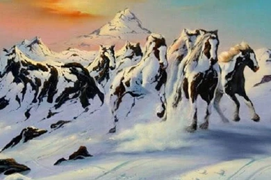 HDscreen: Winter Herd Horse Animal Pinto Desktop Bakcgrounds