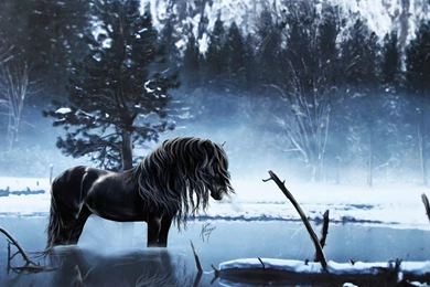Horses: Fantasy Horse Animal Water Horses Art Winter Wallpapers ...
