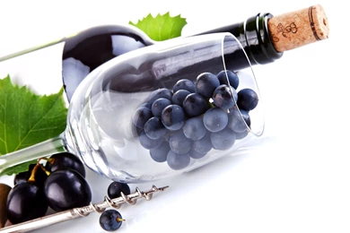 Miscellaneous: Wine Bottle, Picture Nr. 62131