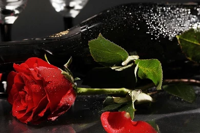 Download Wallpapers 2560x1024 Rose, Flower, Bottle, Wine Glass Dual ...