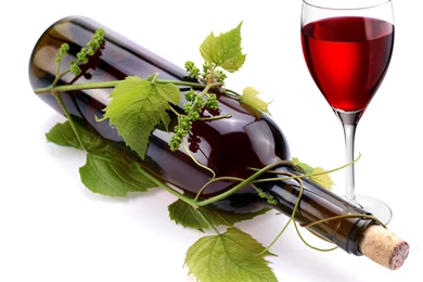 Wallpapers Drinks Wine Bottle Food Image