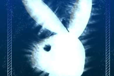 DeviantArt: More Like Playboy Logo Wallpapers 04 By Barbaraaldrette