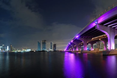 Miami City Wallpapers