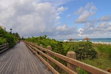 Miami Wallpapers Hd   1644481