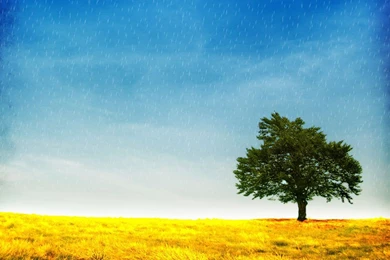 Photo Manipulated Fantasy Scenery Wallpapers 1280x800 NO.27 ...