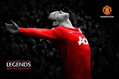 Robin Van Persie Manchester United Wallpapers