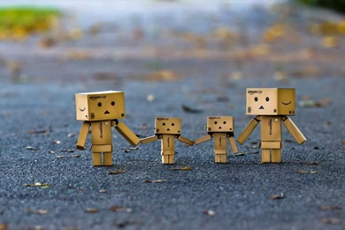 Danbo Family Wallpapers   1680x1050   598214