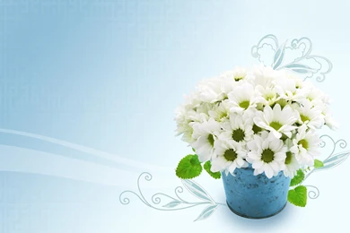 Gallery For   Wallpapers Bouquet