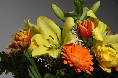 Flower Bouquets, Flower Composition Photo And Wallpapers   Whether ...