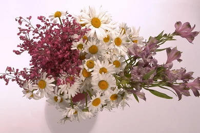 Flower Bouquet Wallpapers   Desktop Backgrounds