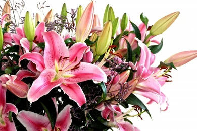 Gallery For   Flower Bouquets Wallpapers